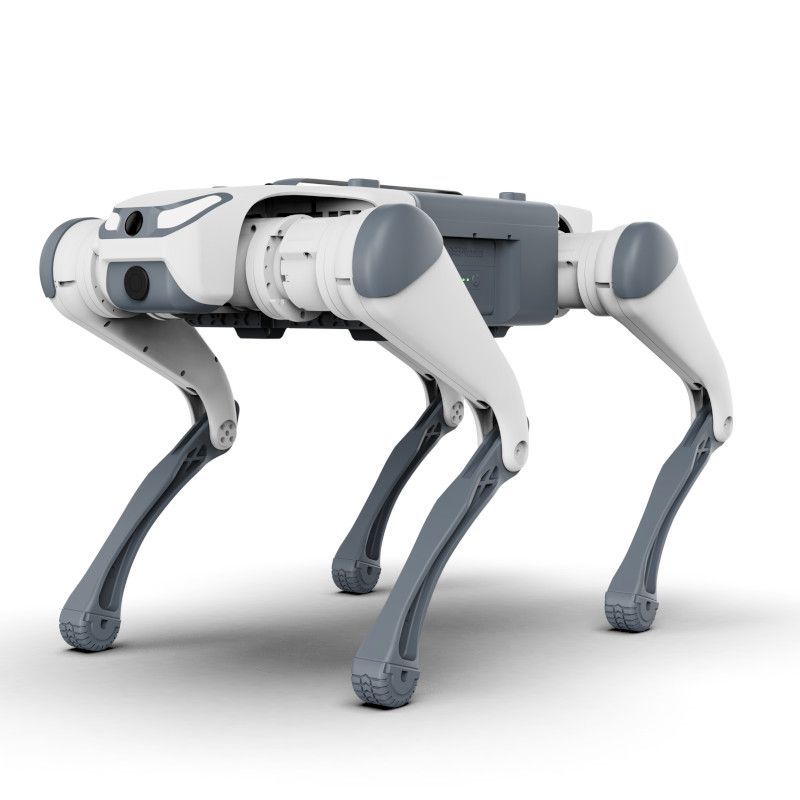 DEEP Robotics